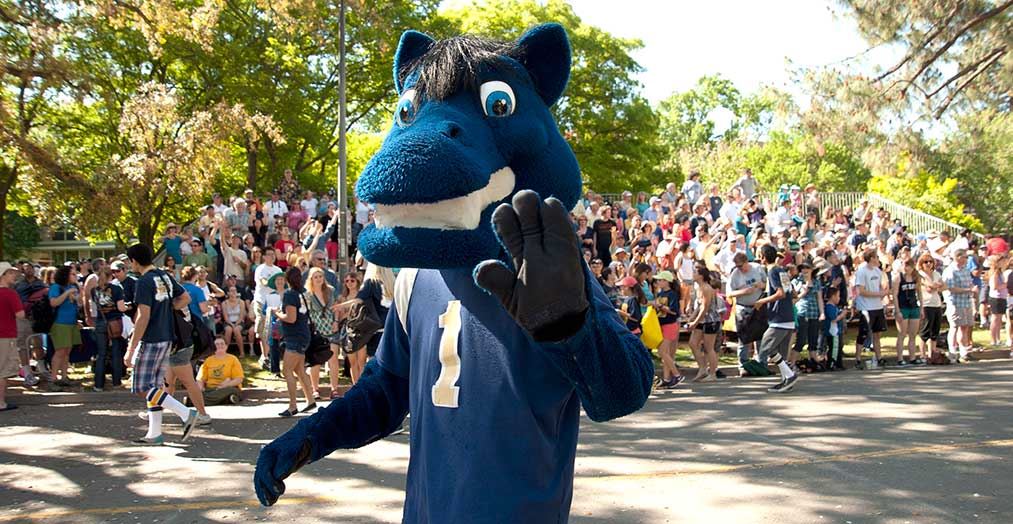 UC Davis Mascot