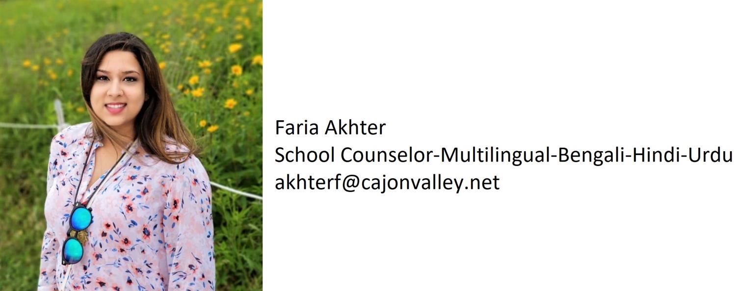 School Counselor