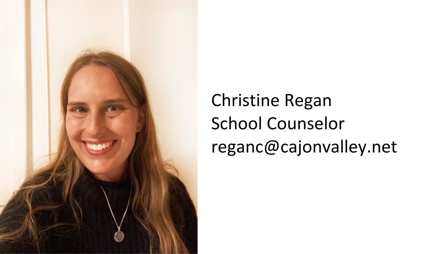 School Counselor