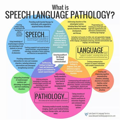 What is SLP? 